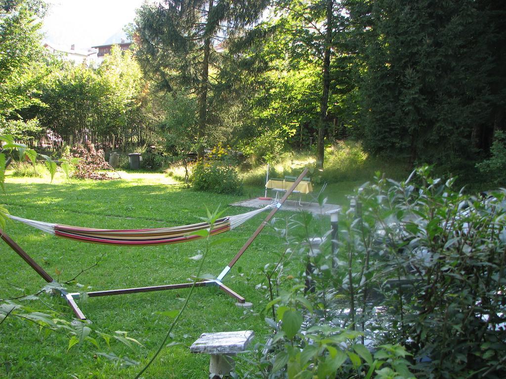 Bio & Vegi Pension Krennleiten Шёнау-ам-Кёнигсзе Экстерьер фото